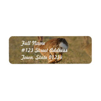 Rabbit Hopping Return Address Mailing Label