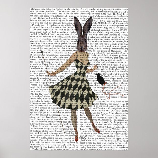 Rabbit in Black White Dress Poster (Front)