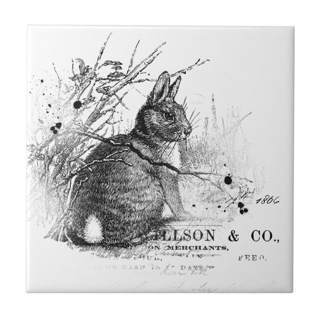 Rabbit in Brush Vintage Black & White Tile (Front)