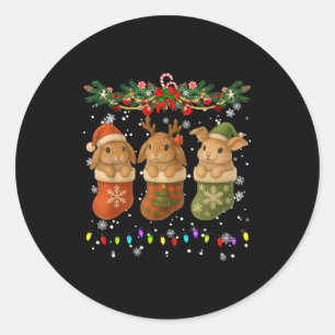Rabbit In Christmas Socks Lights Rabbit Xmas  Classic Round Sticker