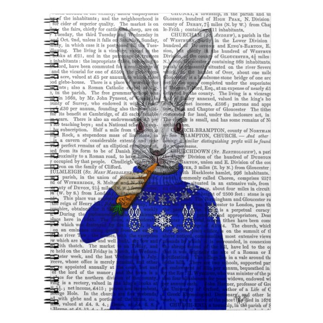 Rabbit In Sweater 2 Spiral Notebook (Front)