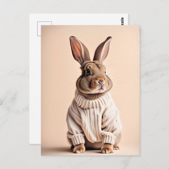 Rabbit in sweater, Postcrossing Postcard (Front/Back)