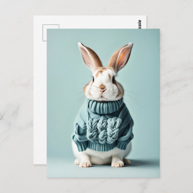 Rabbit in sweater, Postcrossing Postcard (Front/Back)