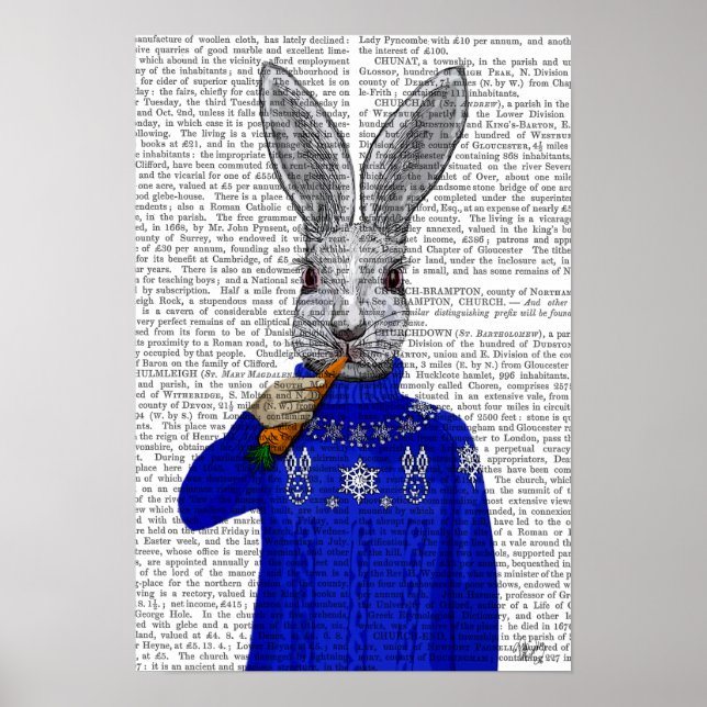 Rabbit In Sweater Poster (Front)