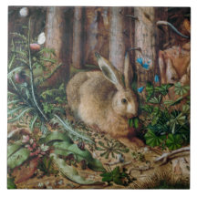 Rabbit in the Forest