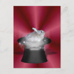 Rabbit in the Magic Hat Postcard