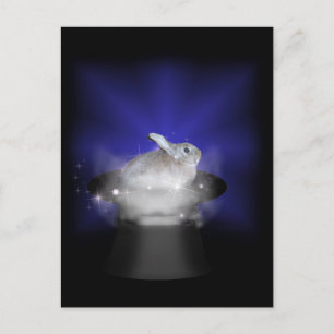 Rabbit in the Magic Hat Postcard