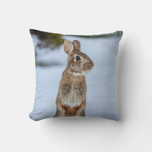 Rabbit in the snow cushion