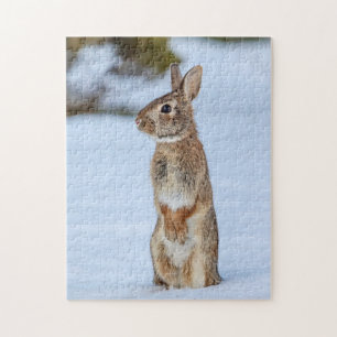 Rabbit in the snow jigsaw puzzle