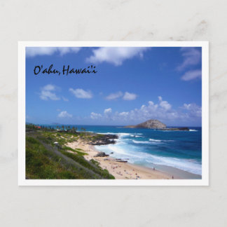 Rabbit Island Postcard