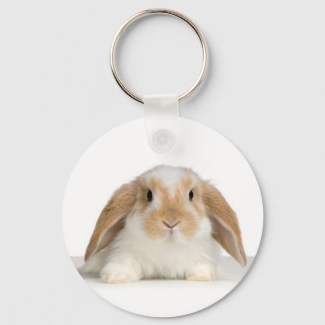 rabbit key ring (Front)