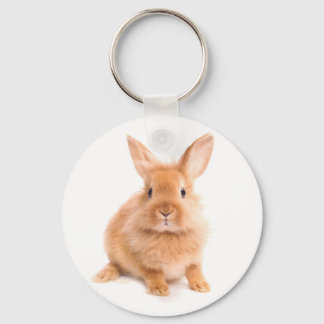 Rabbit Key Ring