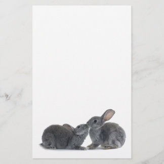 Rabbit Kiss Stationery