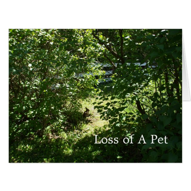 Rabbit- Loss of a Pet (Front Horizontal)