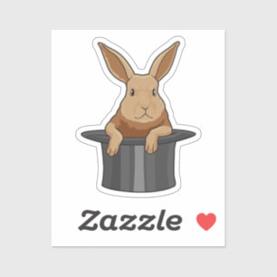 Rabbit Magician Magic hat