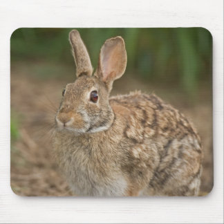 Rabbit mousepad