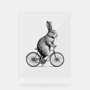 Rabbit On A Bike Bunny Bicycle Cycing Biking Men W Acrylic Sign