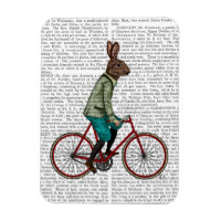 Rabbit On Bike 2