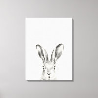 Rabbit Pencil Drawing