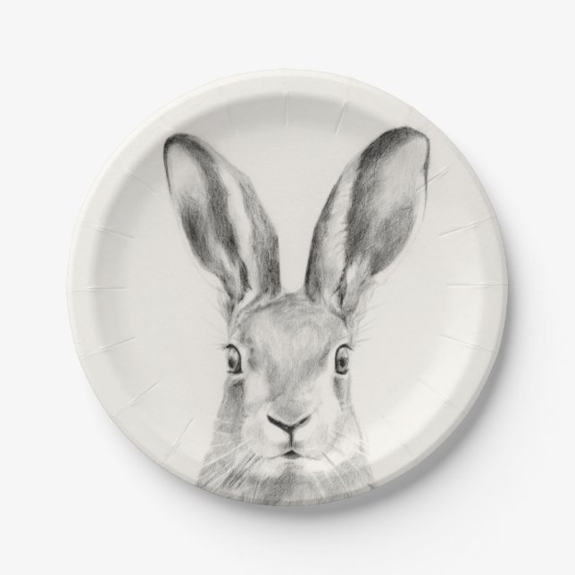 Rabbit Pencil Drawing Paper Plate (Front)