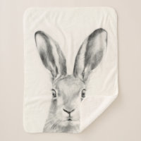 Rabbit Pencil Drawing
