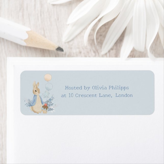 Rabbit Peter Baby Shower Its a Boy  (Insitu)