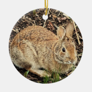 Rabbit Photo Ornament