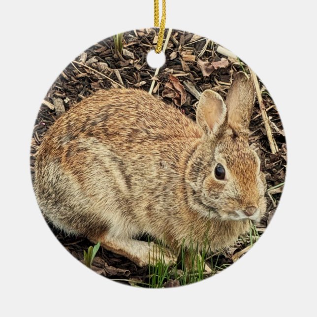 Rabbit Photo Ornament  (Front)
