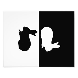rabbit photo print