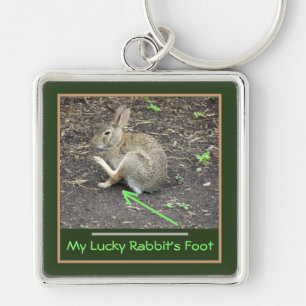 RABBIT POISED TO SCRATCH EAR/MY LUCKY RABBIT'S FOO KEY RING