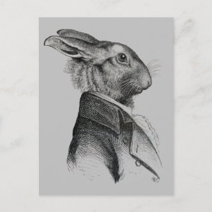 Rabbit Portrait Profile Postcard