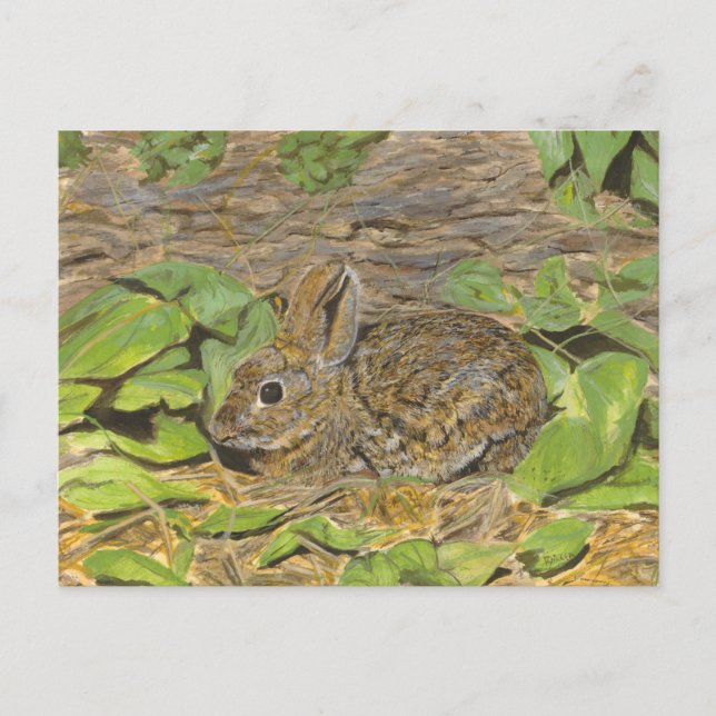 Rabbit post card (Front)