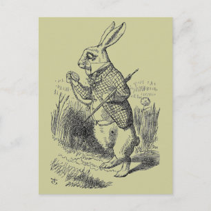 Rabbit Postcard