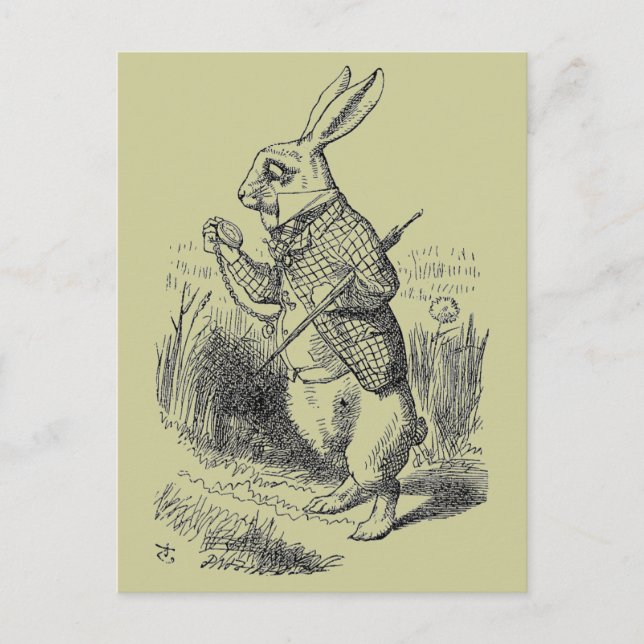 Rabbit Postcard (Front)