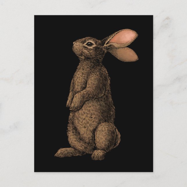 Rabbit Postcard (Front)