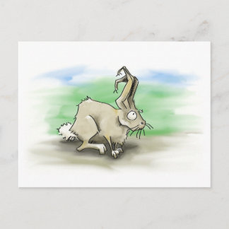 Rabbit Postcard