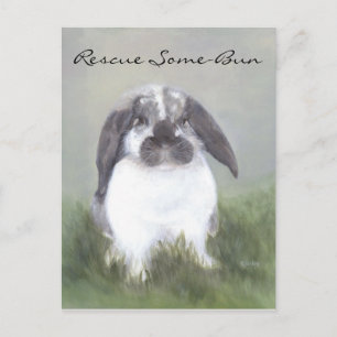 Rabbit Rescue Postcard