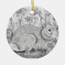 Rabbit Rests Among Wildflowers