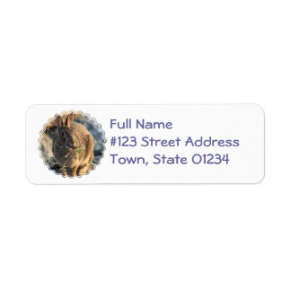 Rabbit Return Address Label