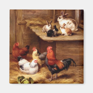 Rabbit rooster hens farm animals bunnies magnet