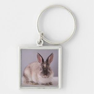 rabbit,simple background,animal,white table, key ring