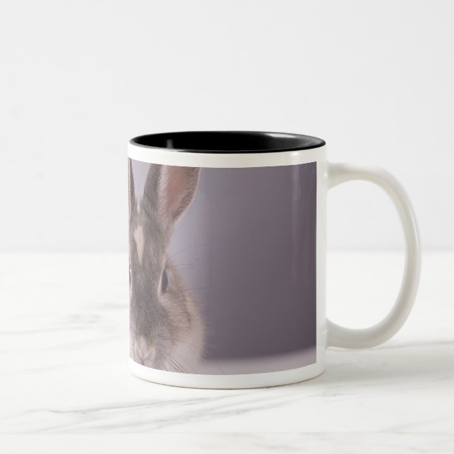 rabbit,simple background,animal,white table, Two-Tone coffee mug (Right)