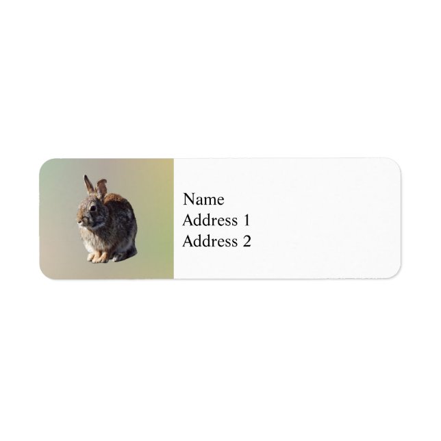 Rabbit Sitting (Front)