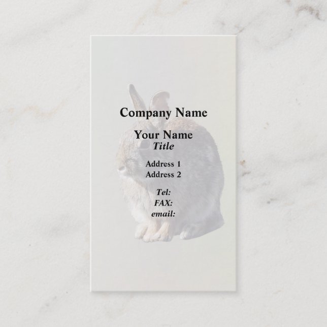 Rabbit Sitting Business Card (Front)