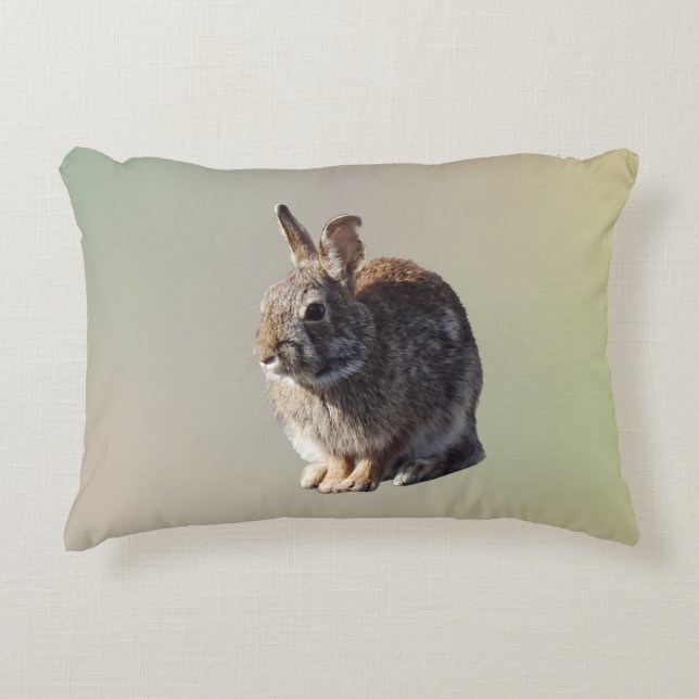 Rabbit Sitting Decorative Cushion (Front)
