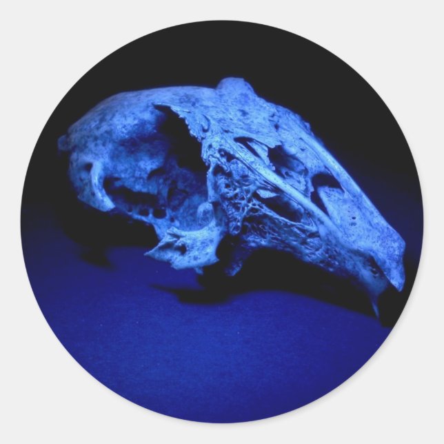 Rabbit Skull - Set of 20 Stickers (Front)