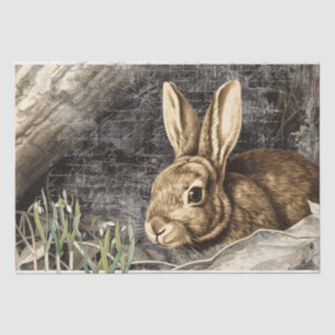 Rabbit Snowdrop Flowers Spring French Script Craft Tissue Paper