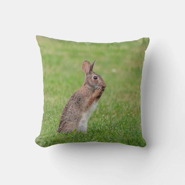 Rabbit standing in the grass and looking shy cushion (Front)