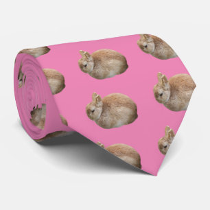 rabbit tie