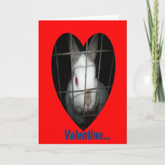Rabbit Valentine Holiday Card (Front)